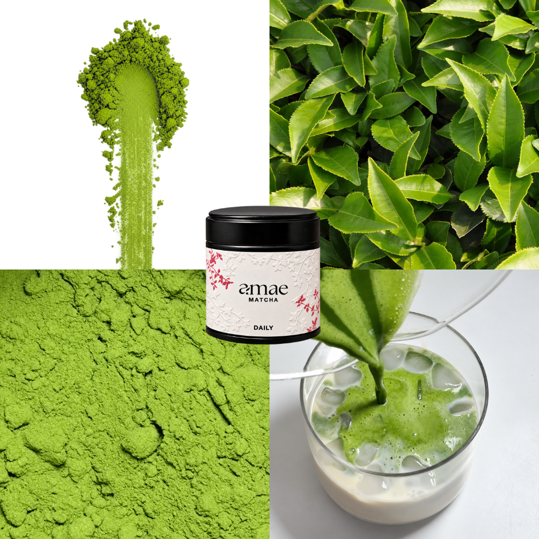 04 - Daily Matcha